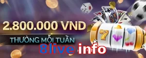 8live info