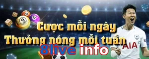 8live info